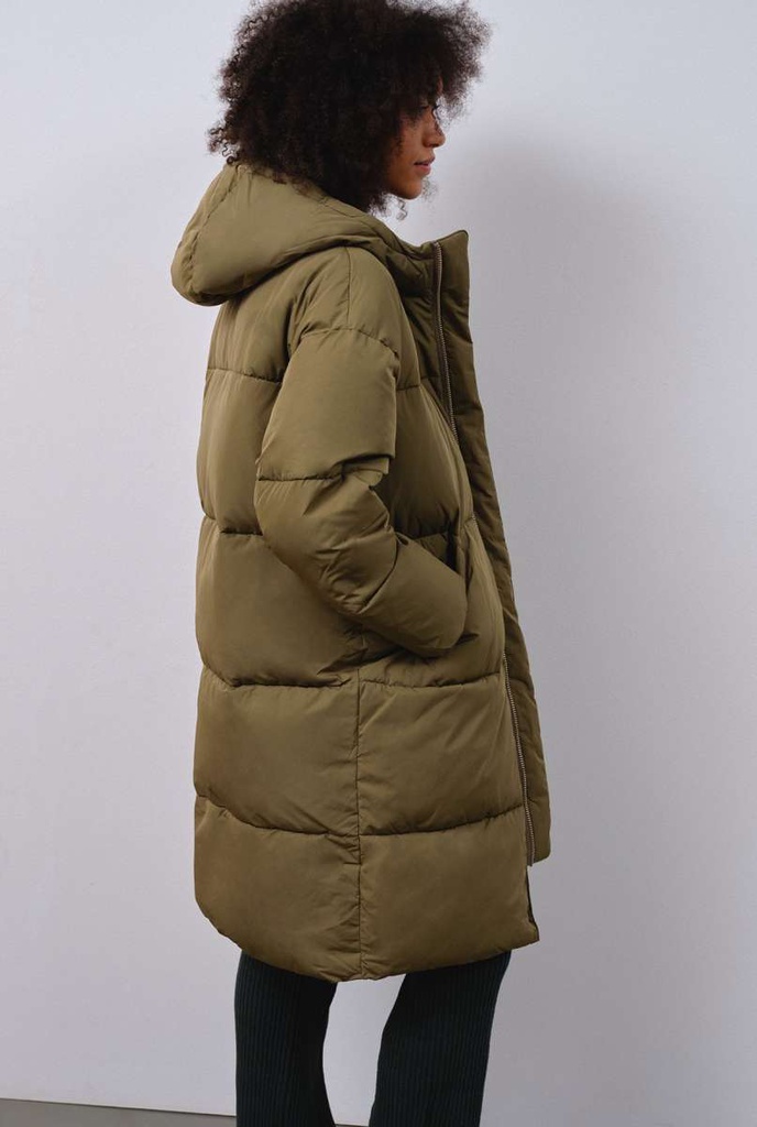 Embassy of Bricks and Logs Elphin Wood