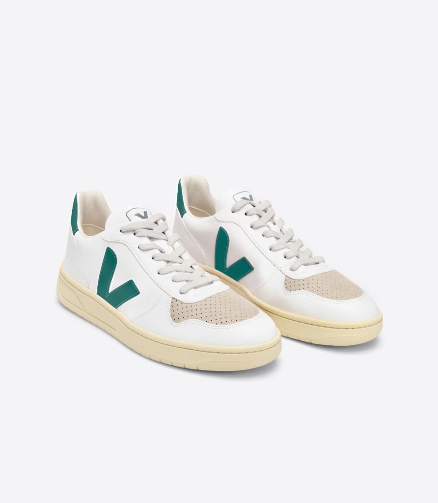 VEJA - V-10 CWL WHITE BRITTANY