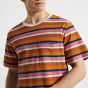 Dedicated Bolur - T-shirt Gustavsberg Stripe Multi Color