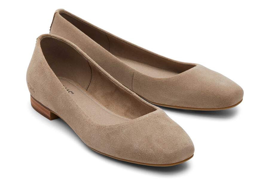 TOMS skór - Women Briella Taupe Suede Flat