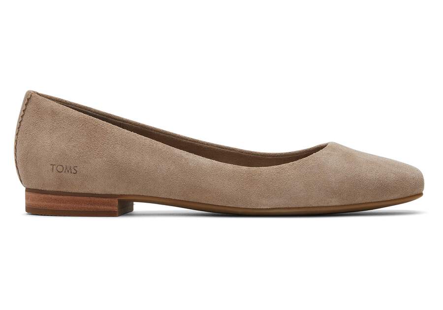 TOMS skór - Women Briella Taupe Suede Flat