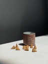 Incausa Discovery Incense Cones 22 stk.